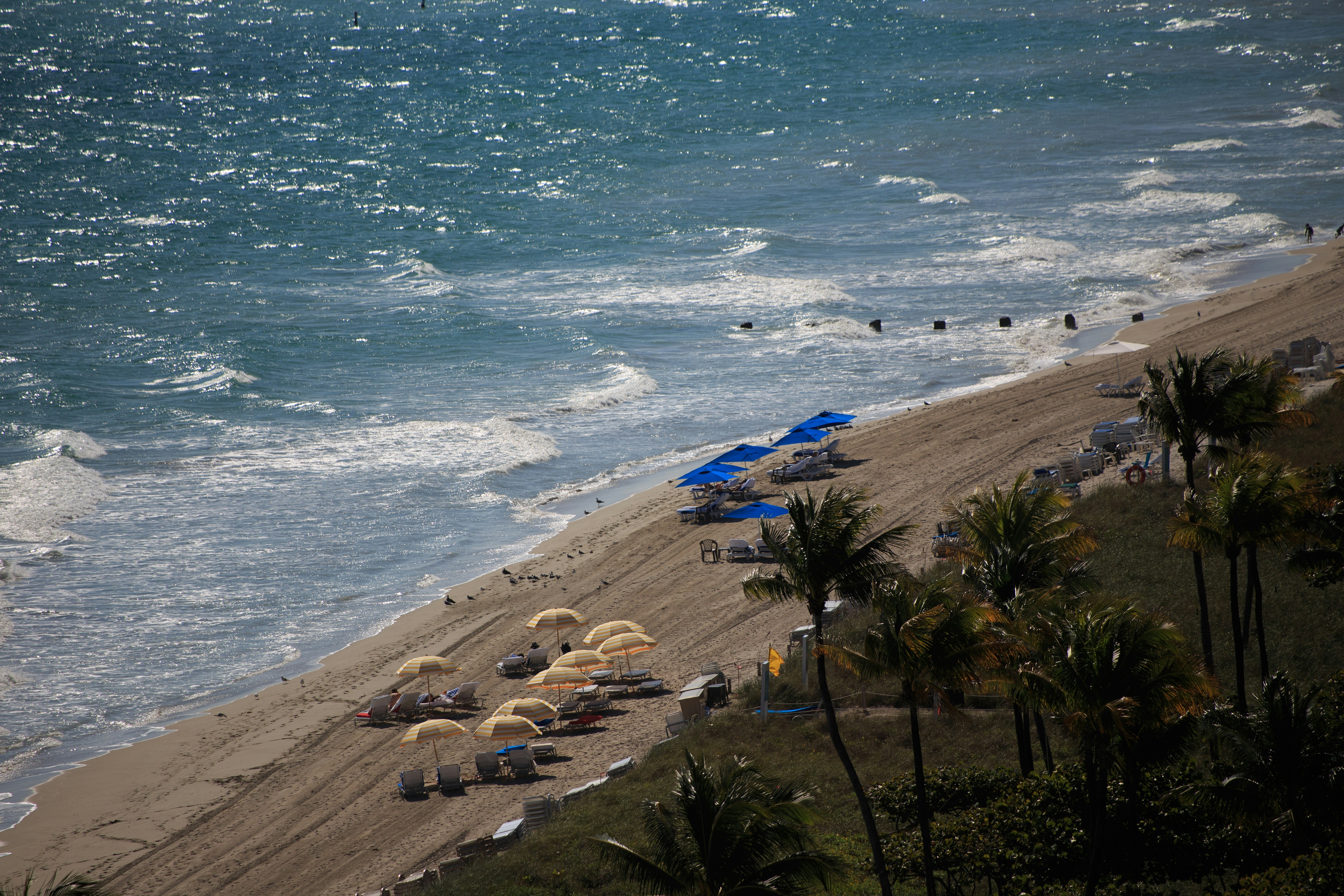 Photo by hectorfalcon