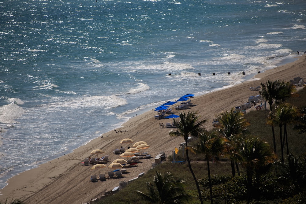 a beach filled with lots of umbrellas next to the ocean