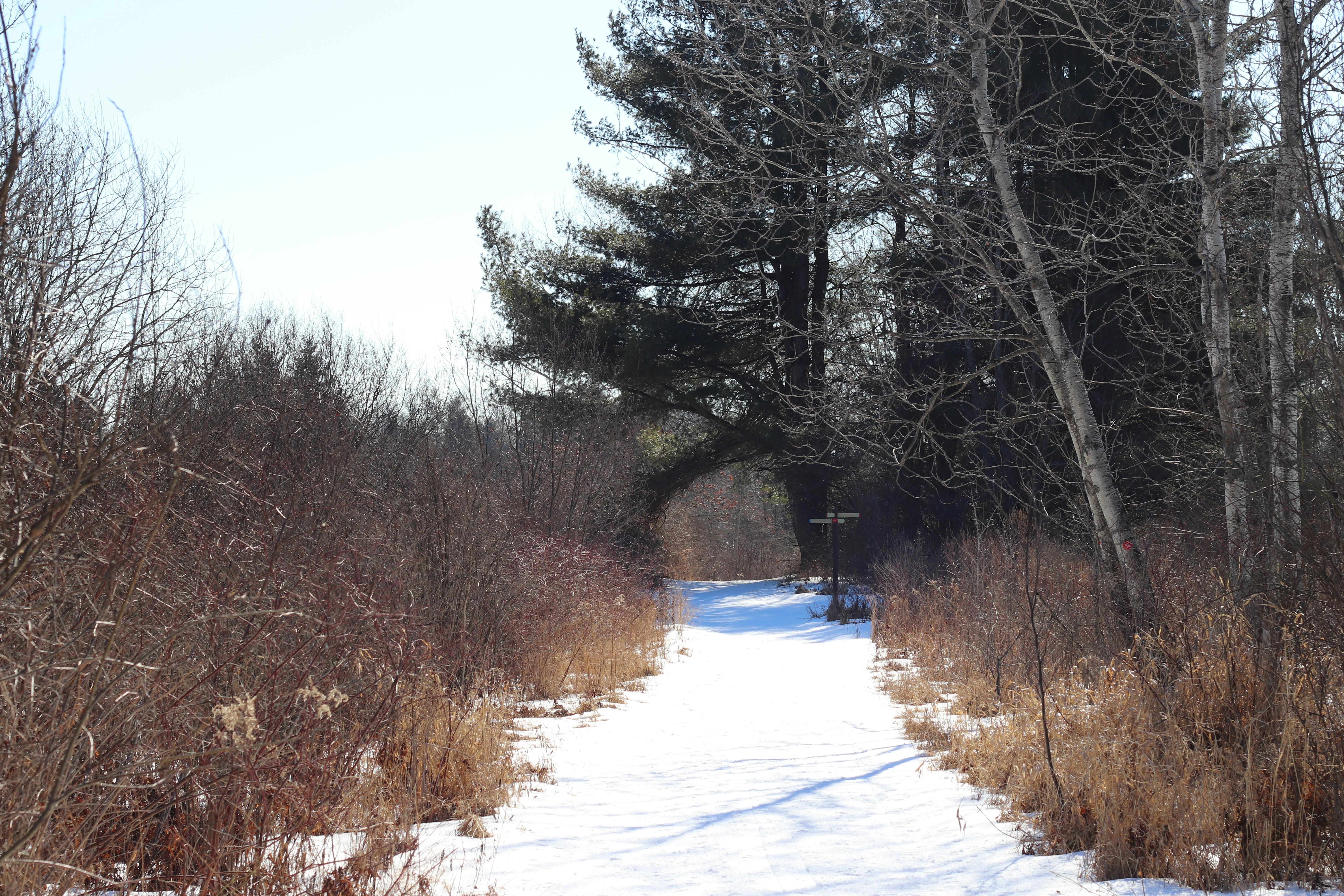 Photo by chrislabarge