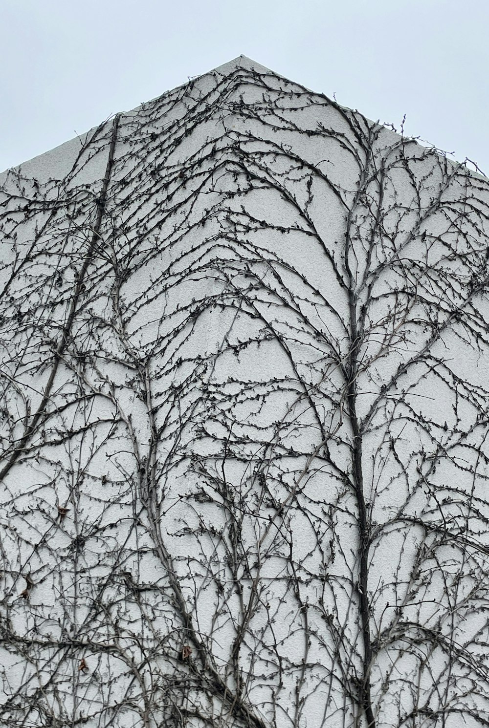 a building that has a bunch of branches on it
