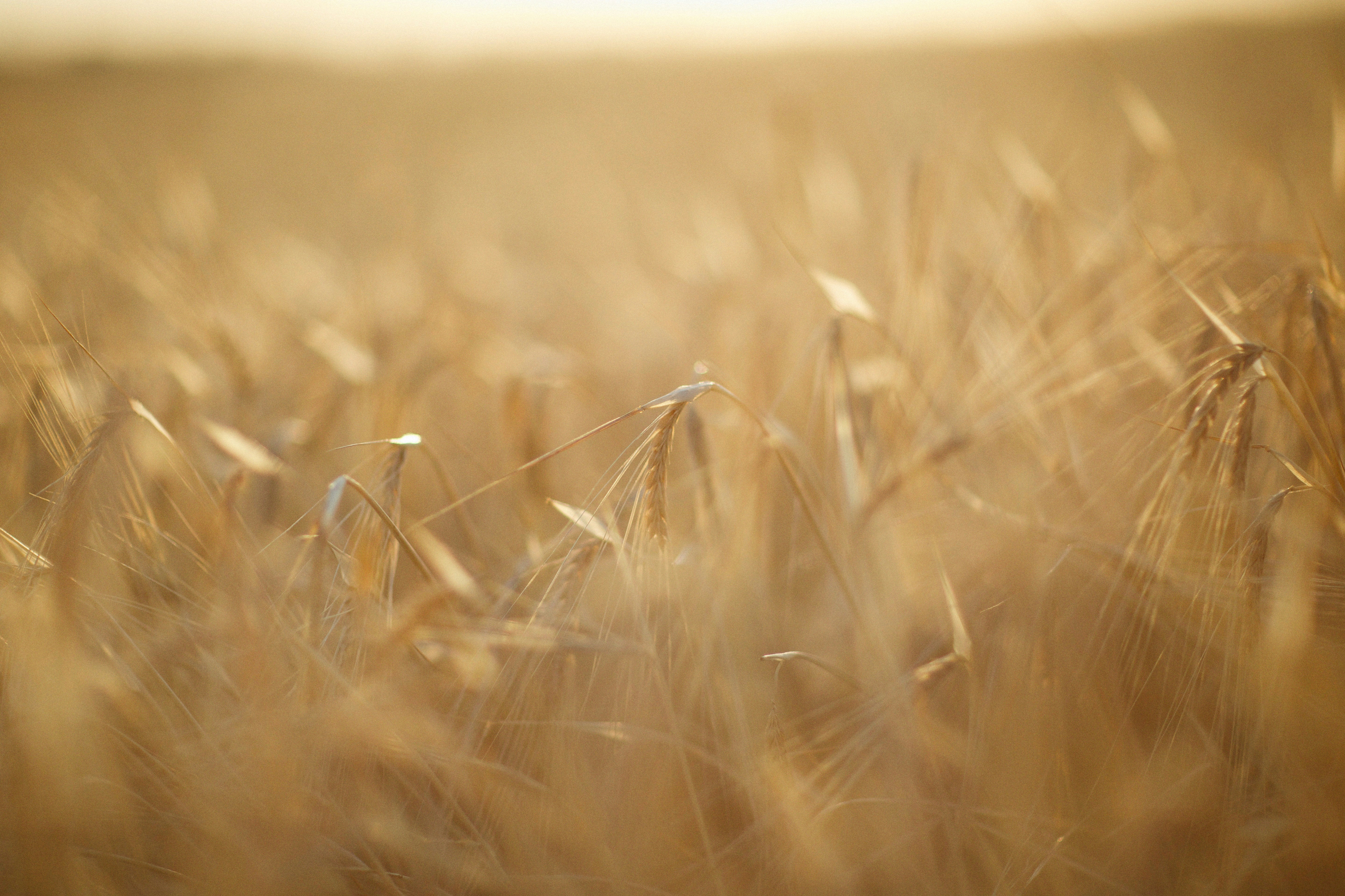 Photo by alexeydemidov