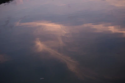 Calm water reflecting pastel pink and orange skies just as the sun rises over a quiet billabong.