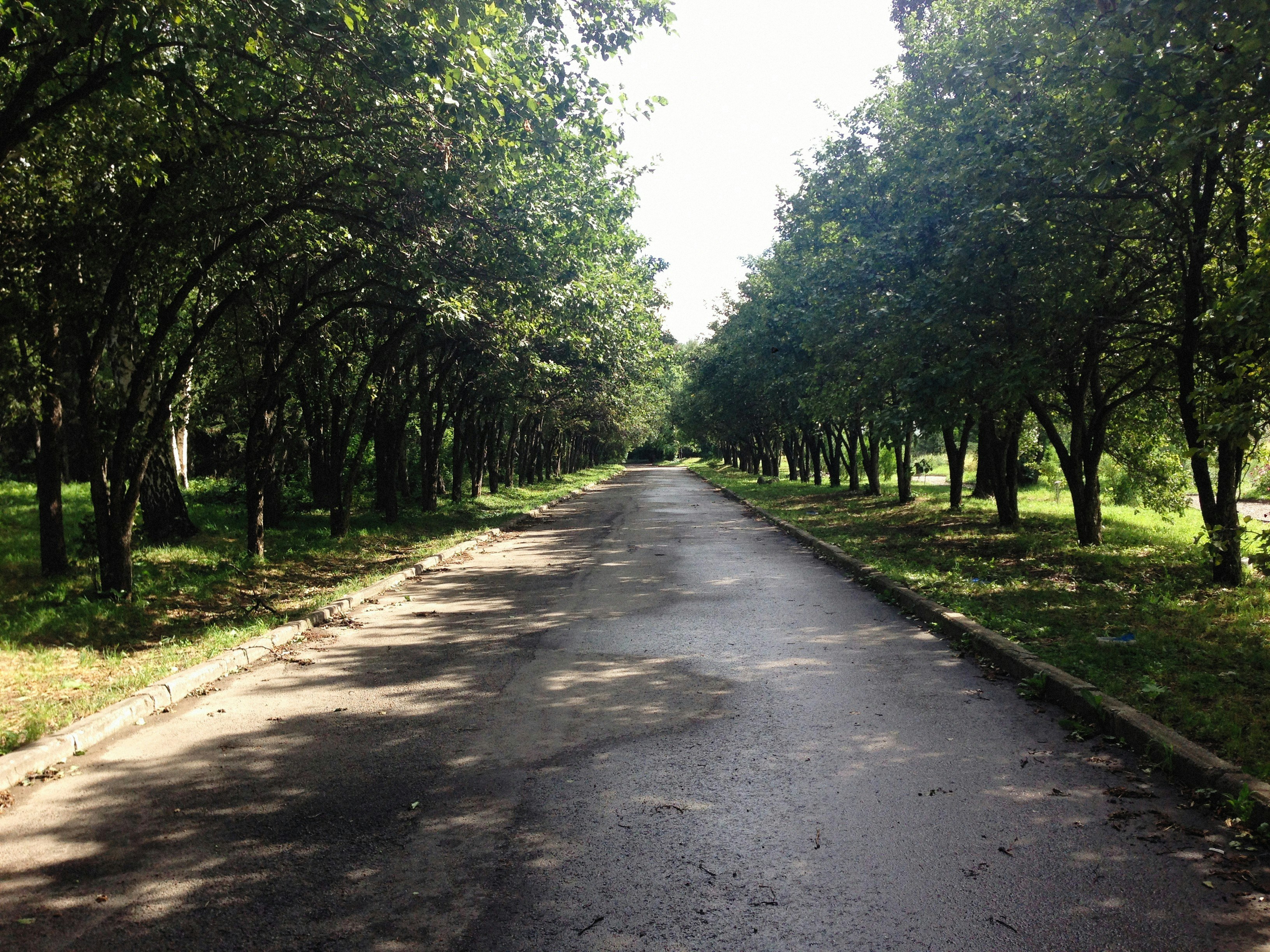 Photo by alexeydemidov