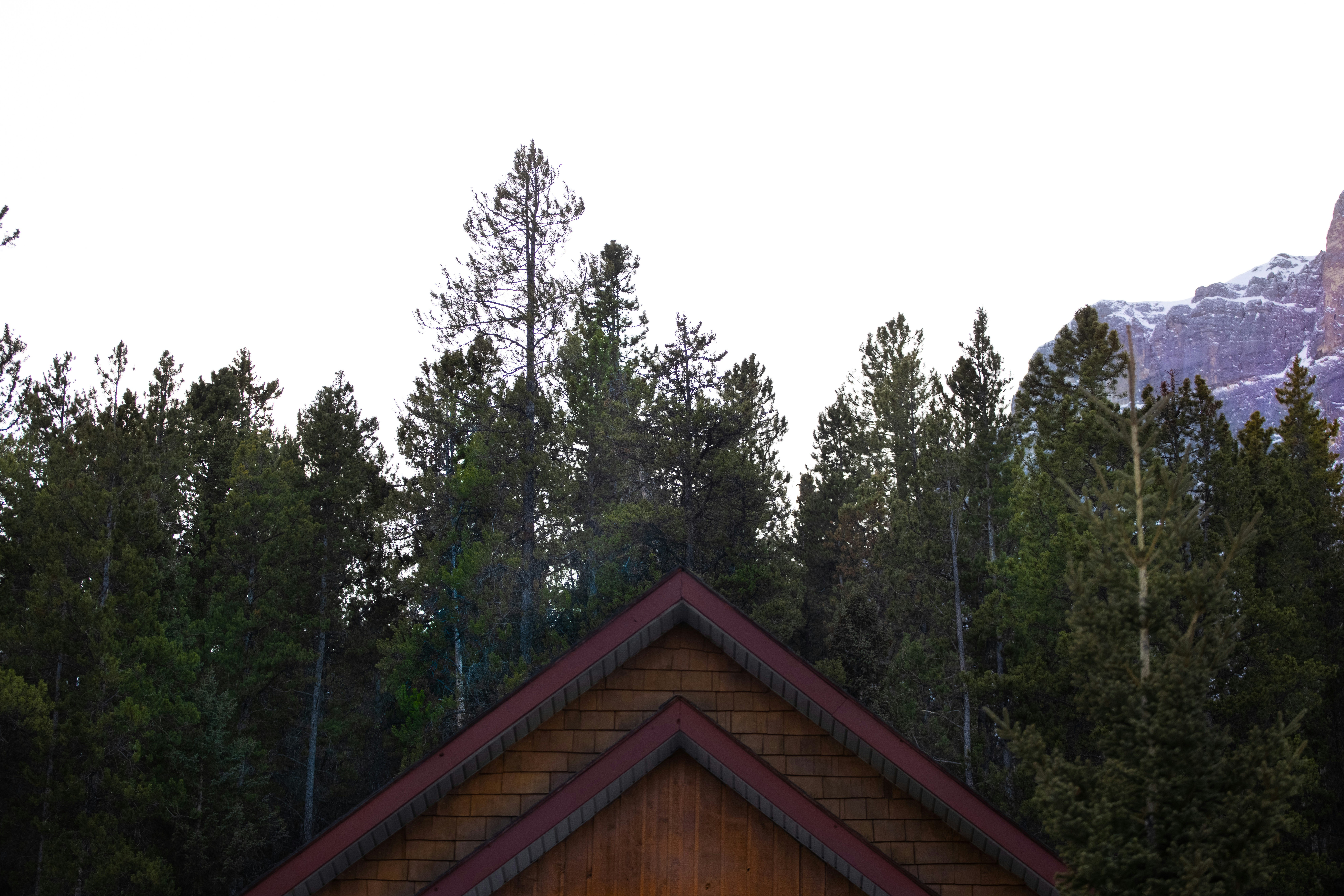 Photo by capturesawyer