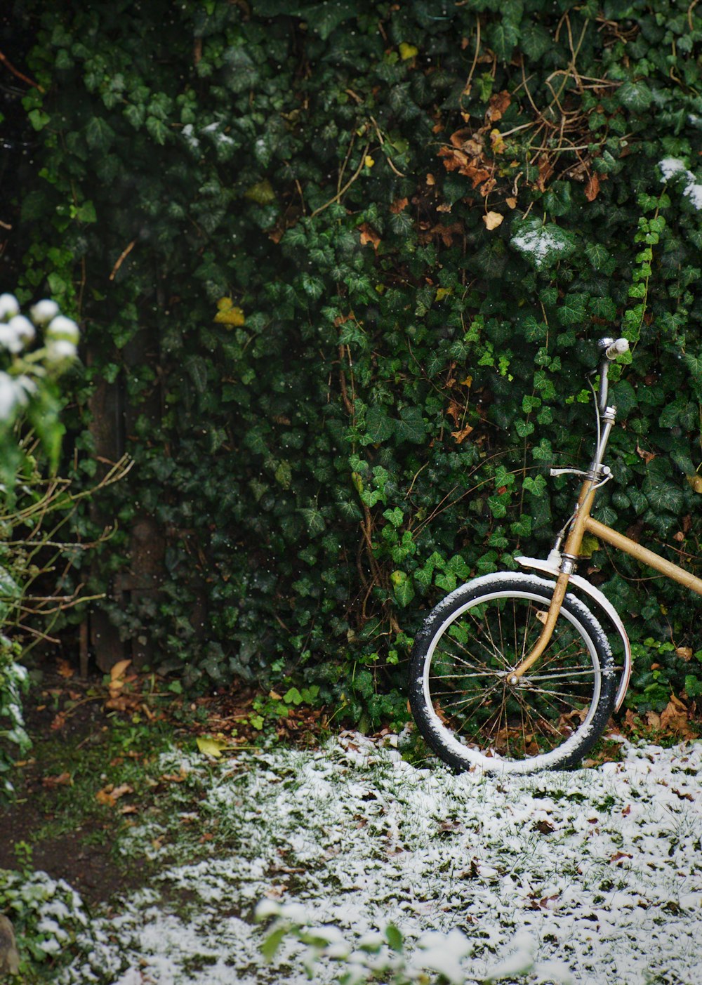 a bike parked in the snow next to a bush