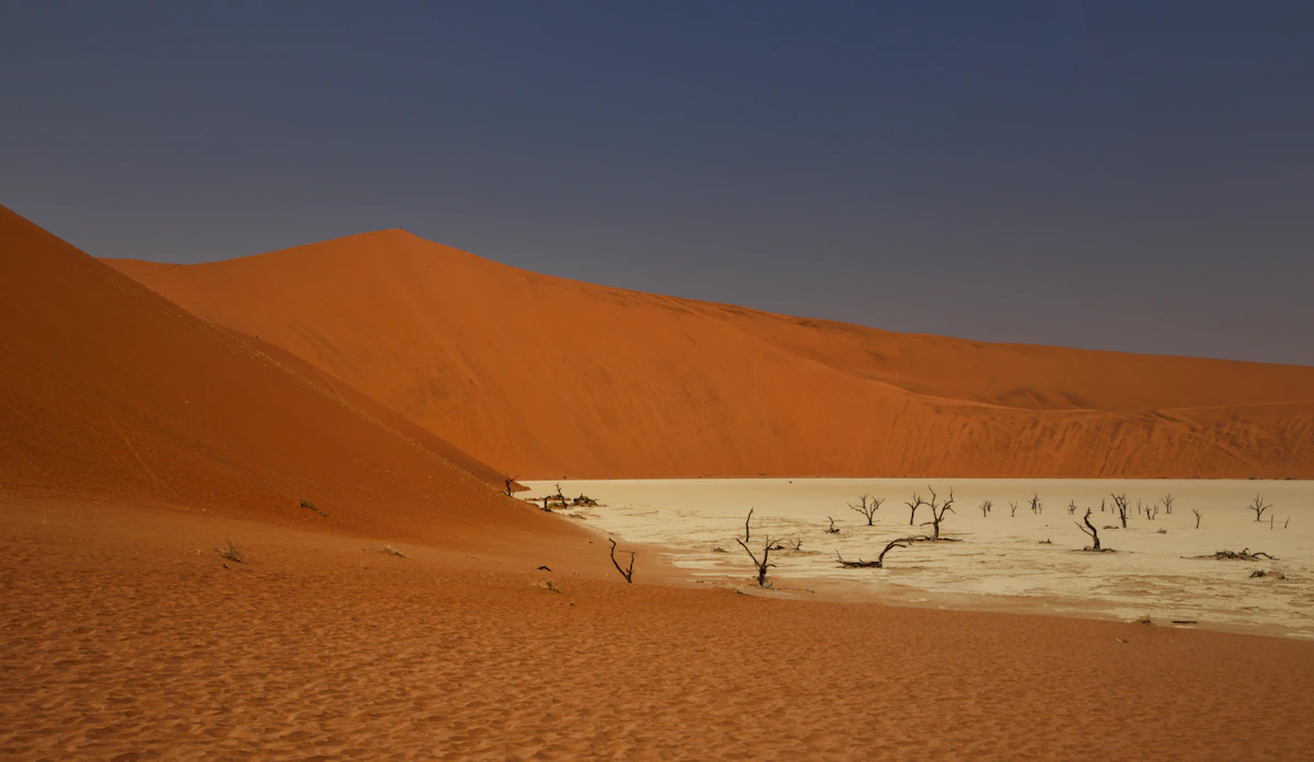 Climber descending Dune 45 near Sossusvlei as the first light turns the sand deep orange