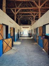 A warm, inviting stable entrance with sunlight filtering through wooden beams.