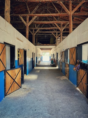 A warm, inviting stable entrance with sunlight filtering through wooden beams.