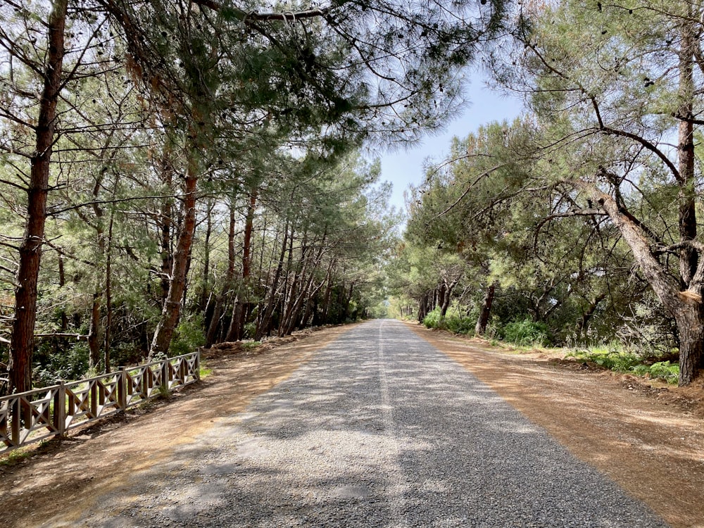 a dirt road surrounded by trees and a fence