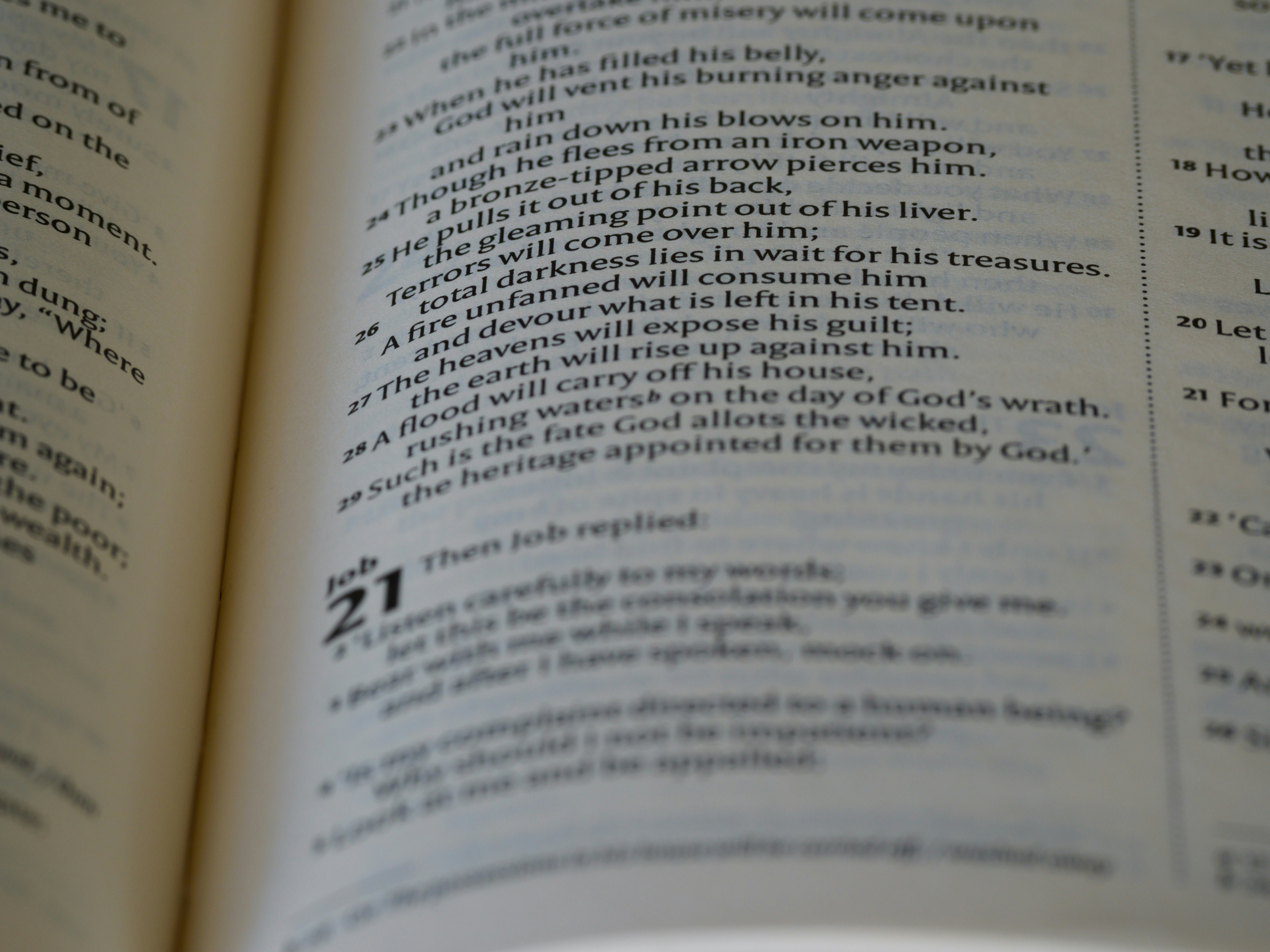 close up, bokeh, macro, blur, blurred background, close focus, bible, old testament, hebrew bible, christian, judaism, history, text, reading, bible study, devotions, text, NIV, New International Version, type, typography, canon, christianity, holy scripture, holy bible, scripture, old testament, hebrew bible, tanakh, ketuvim, book of job, job, אִיּוֹב, theodicy, satan, the accuser, הַשָּׂטָן, 
