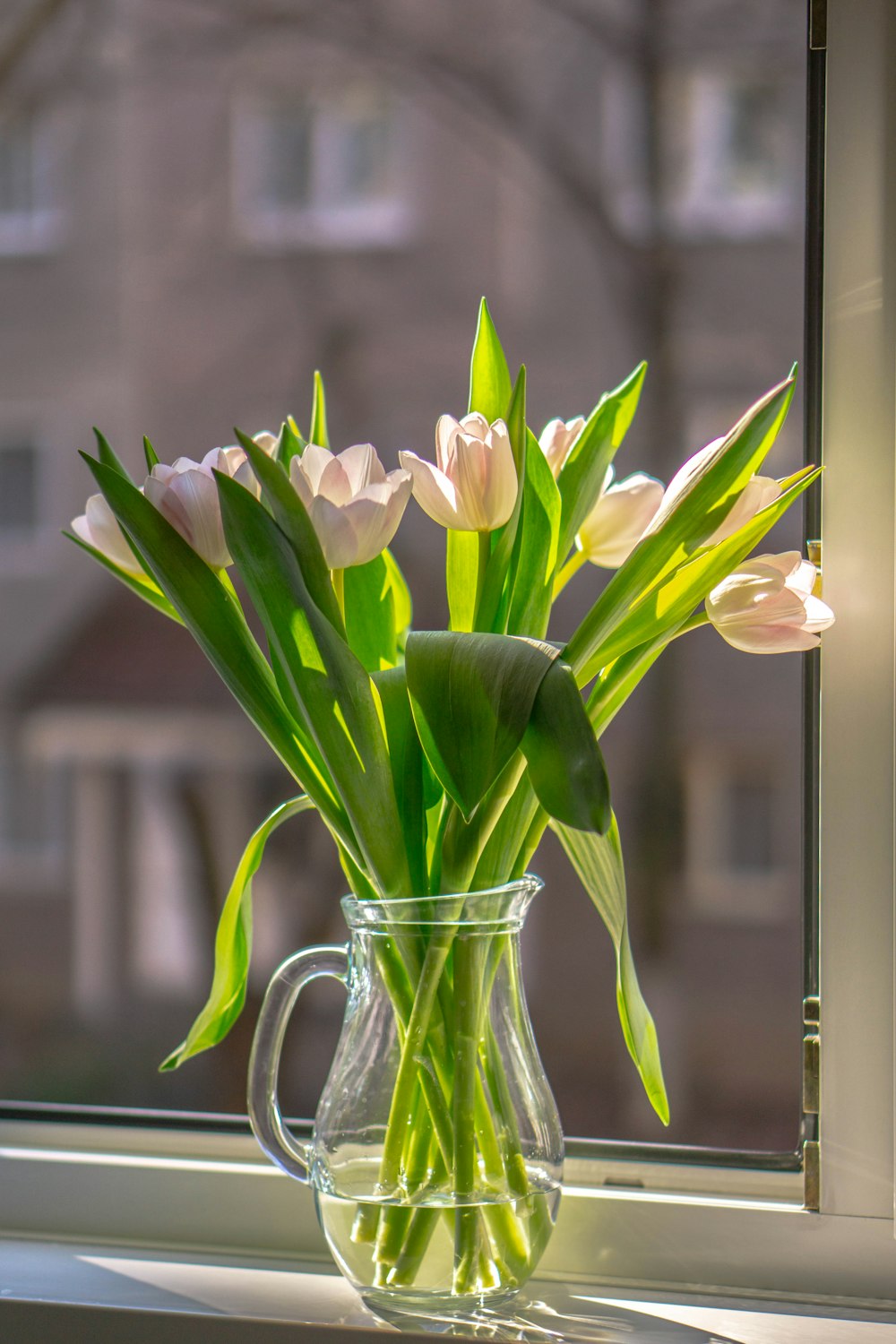 a vase filled with flowers sitting on top of a window sill