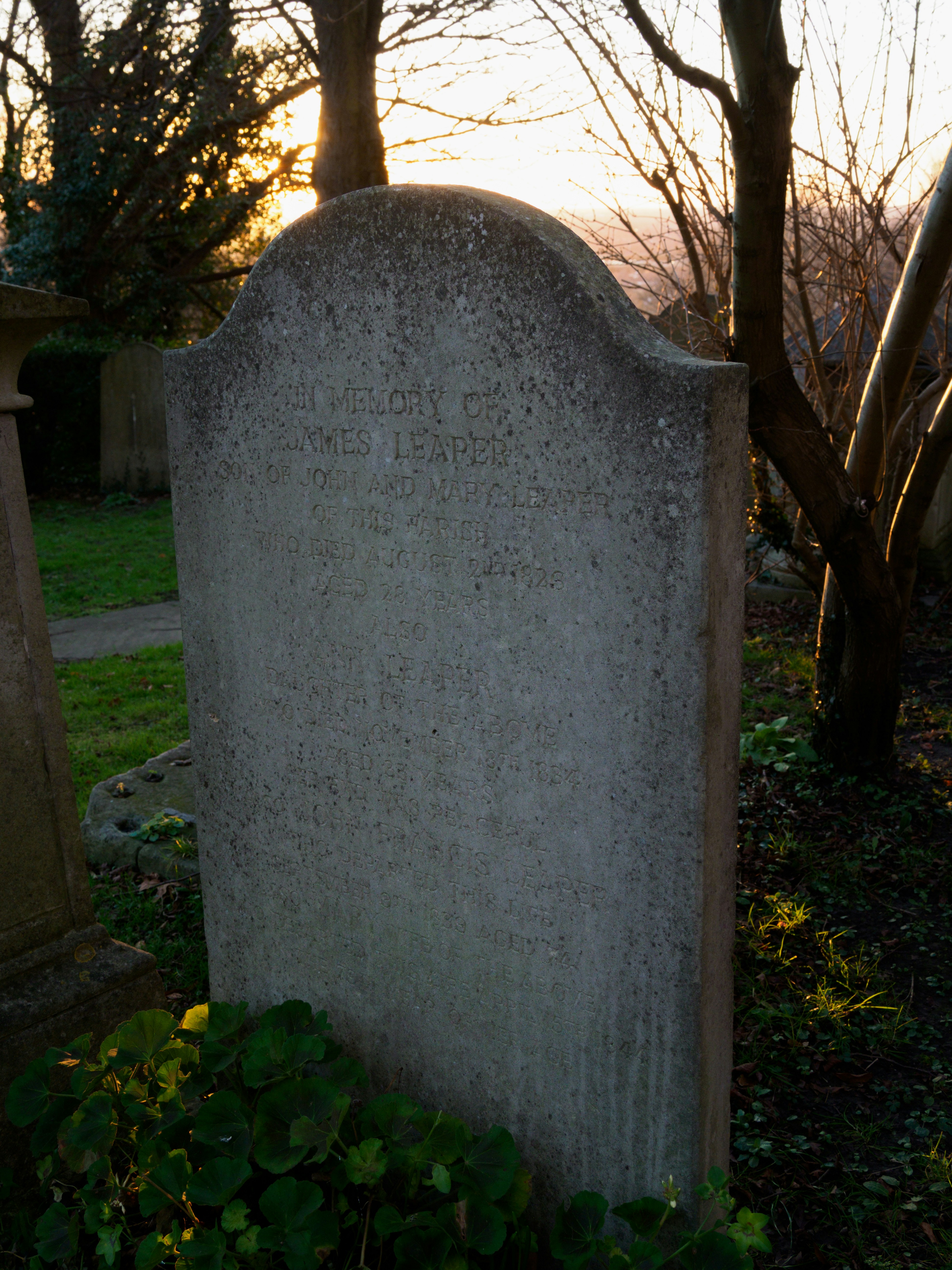 哲学史研究者的墓志铭