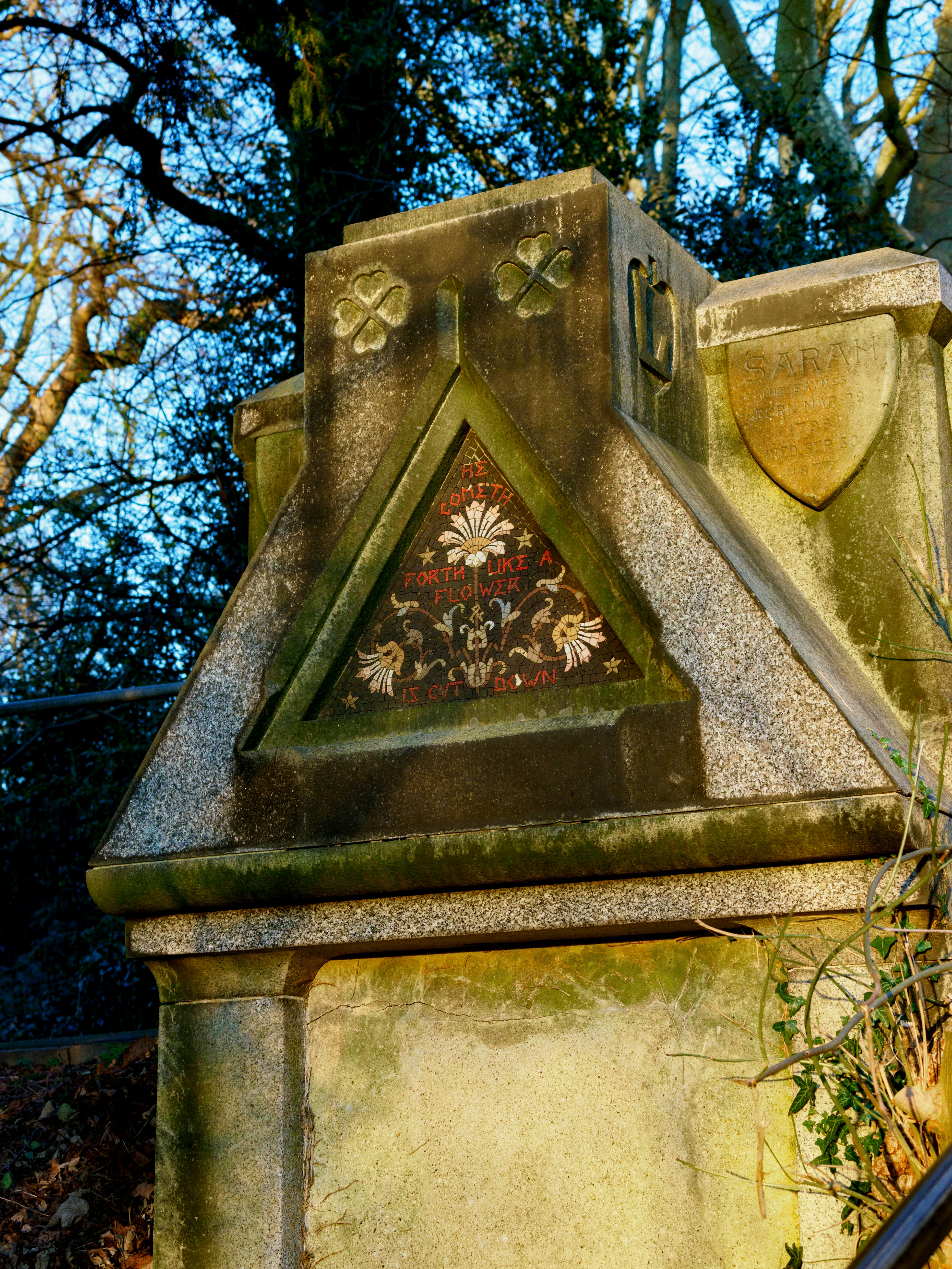 Photo by brett_jordan