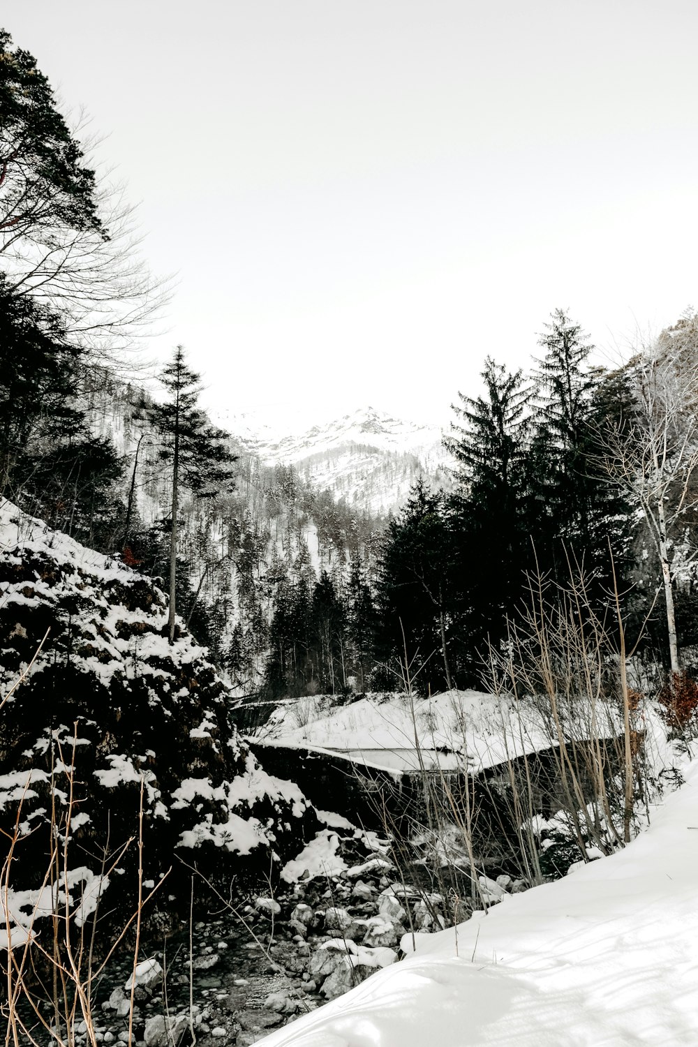 a person on skis is standing in the snow