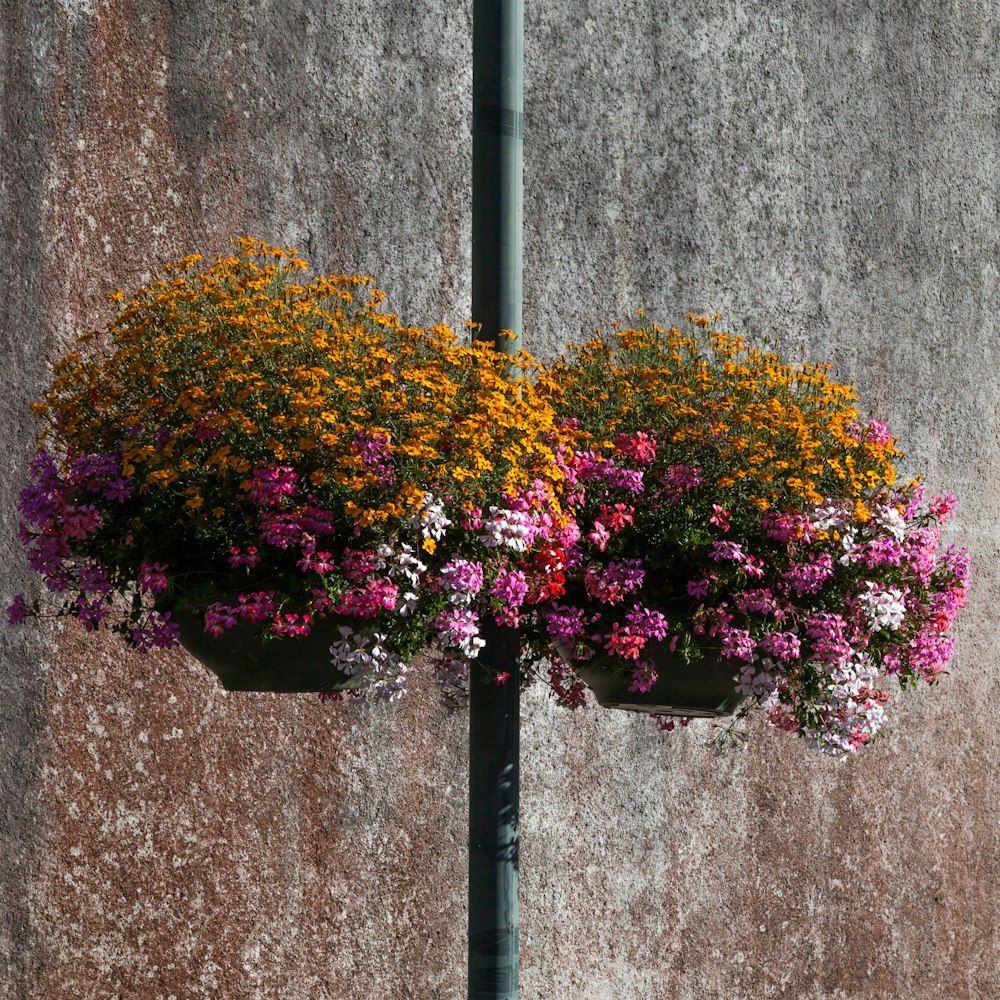 a pole with a bunch of flowers hanging from it