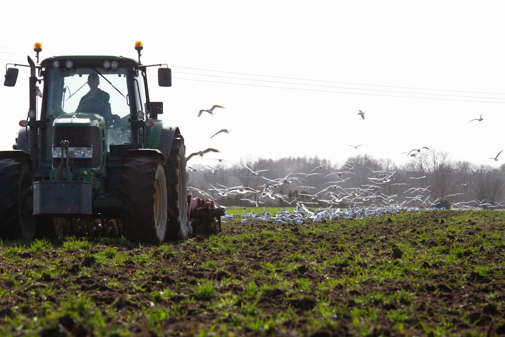 a tractor plowing a field with a flock of birds