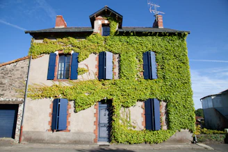 a building covered in vines and blue shutters