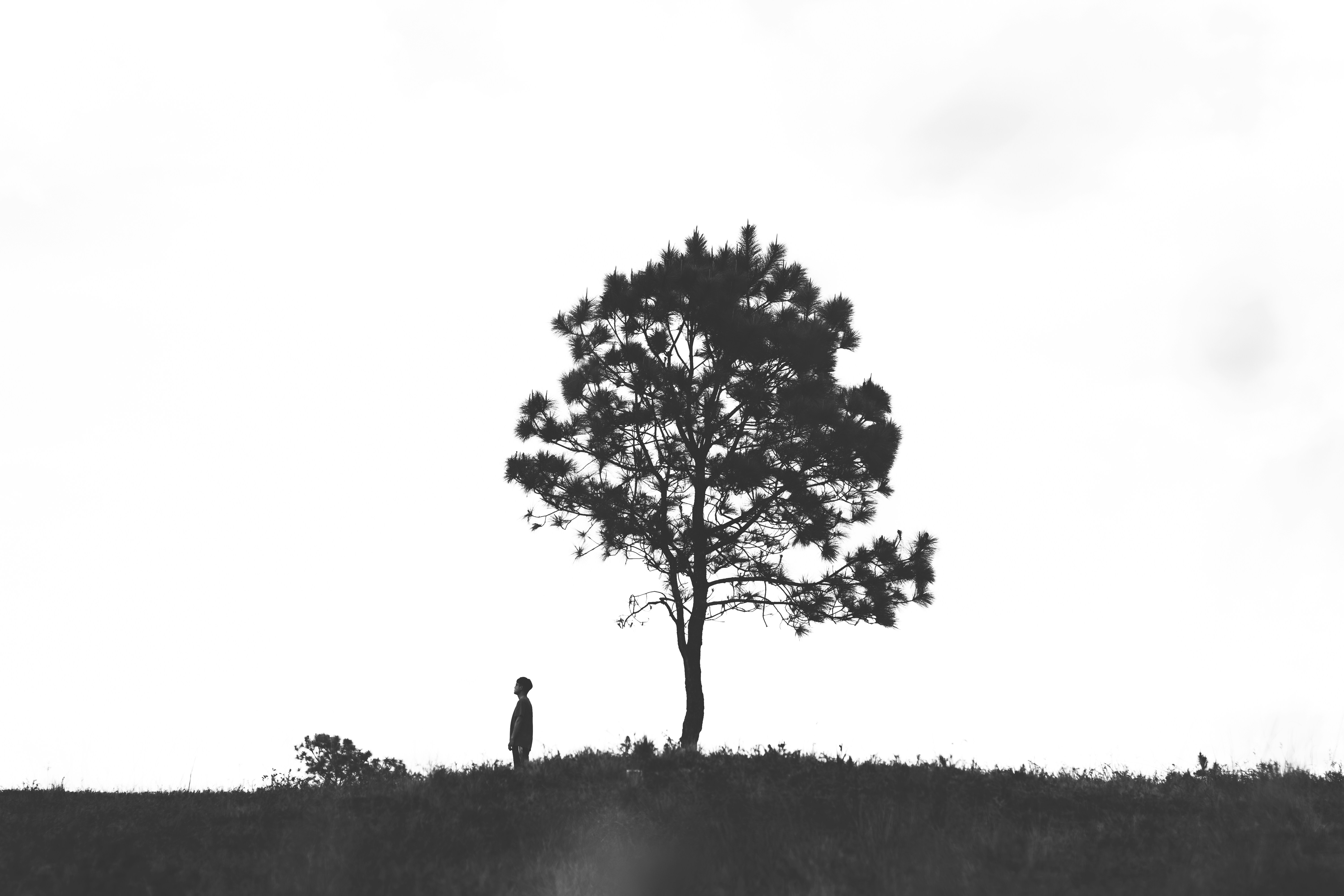 Cover Image of the Post