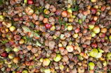 a bunch of fruit that is laying on the ground