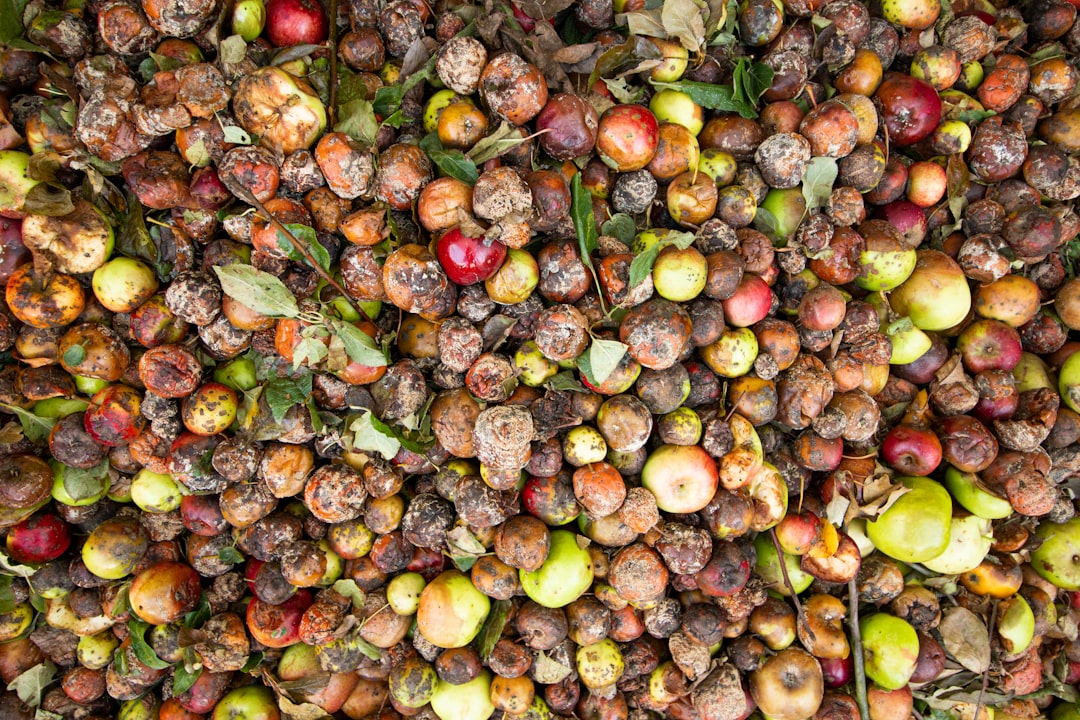 a bunch of fruit that is laying on the ground