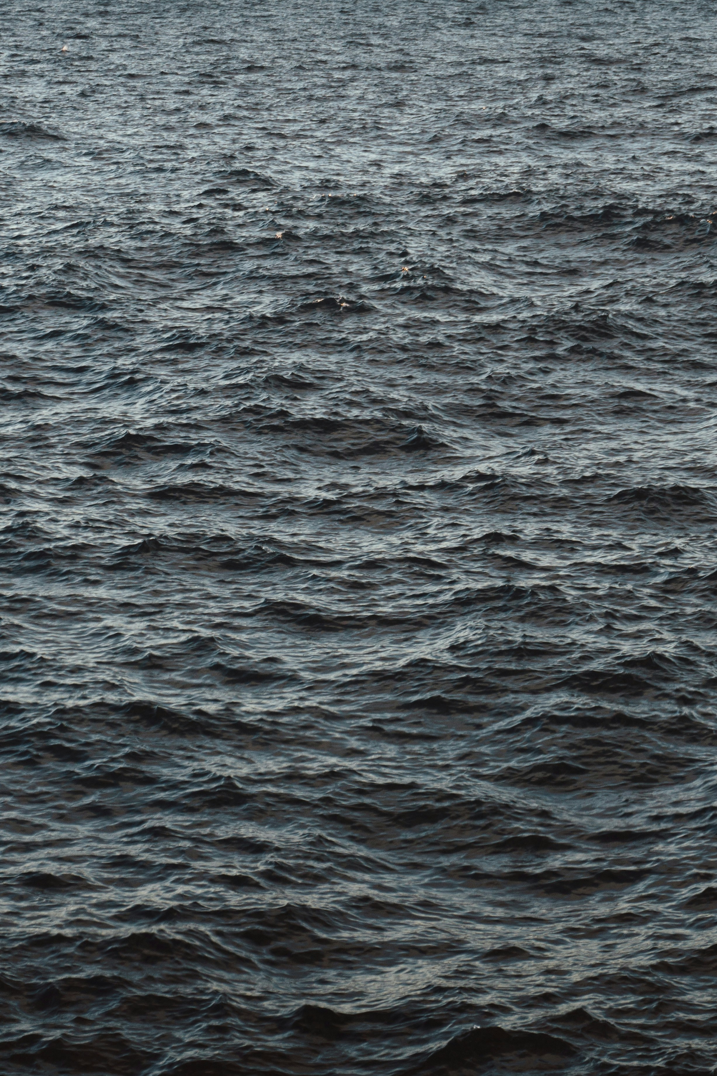 Photo by justusmenke