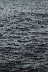 Exploring the Wonders of Wave and Waypoints