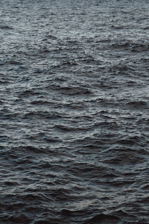 Exploring the Wonders of Wave and Waypoints