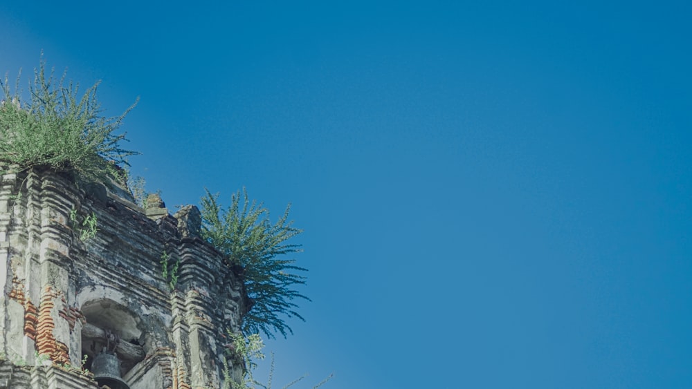 a tall building with a bunch of plants on top of it