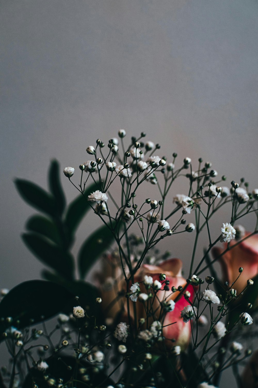 a vase filled with lots of flowers on top of a table