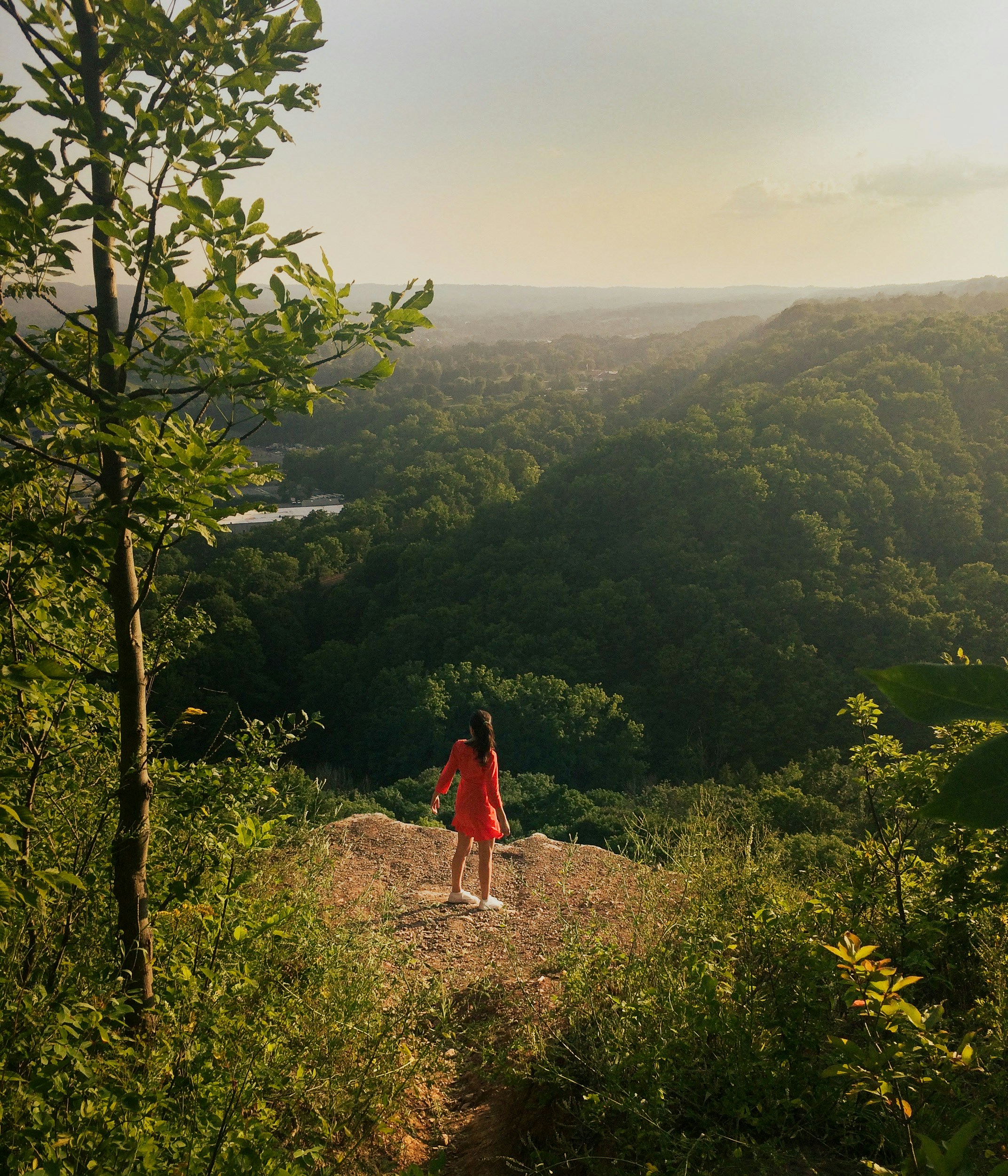 a woman standing on top of a lush green hillside