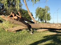 A laid-back scene of a person relaxing in a park wearing Lumina’s comfortable yet stylish activewear.