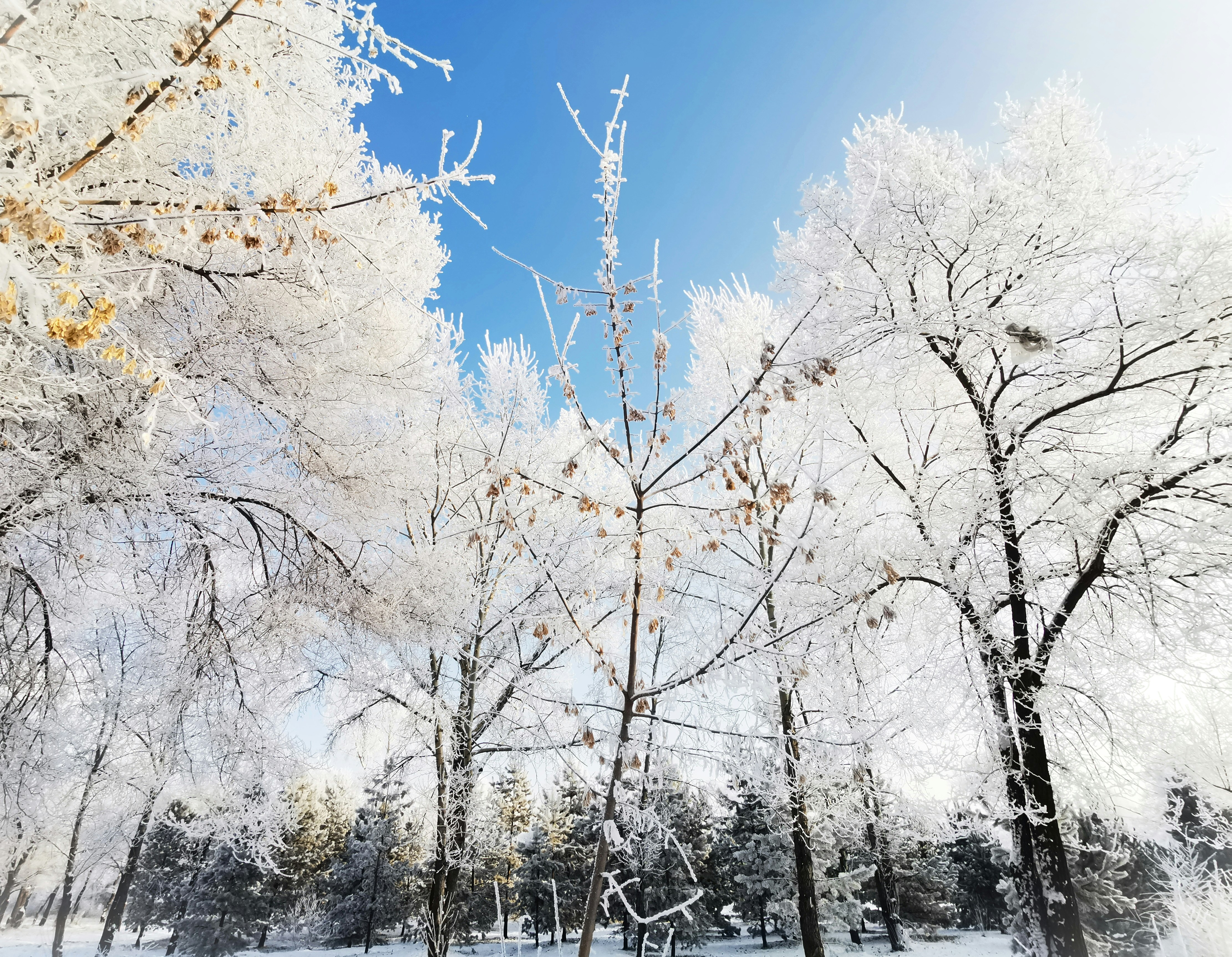 Photo by viktorozolin