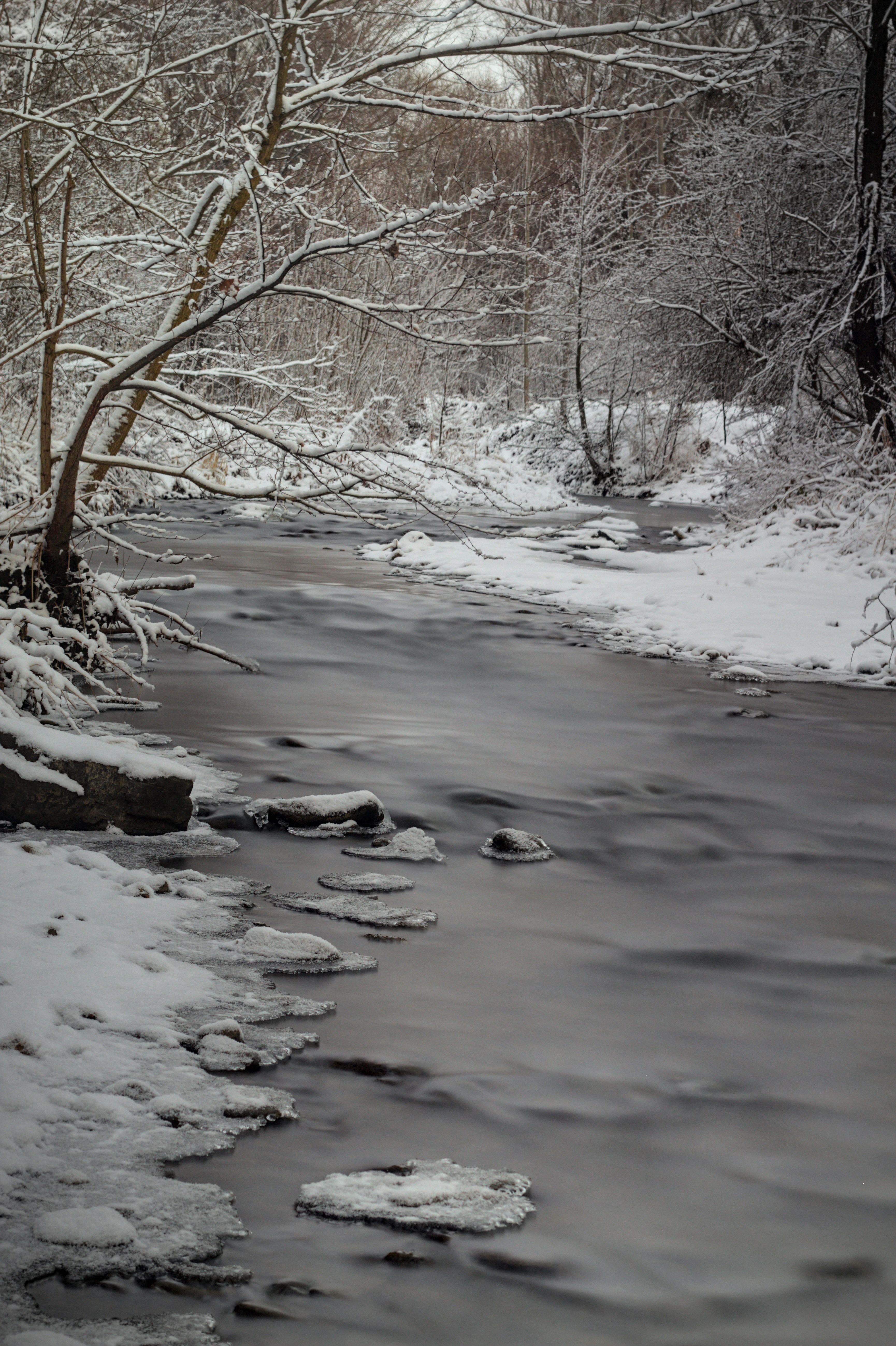 Photo by lazywhiskey