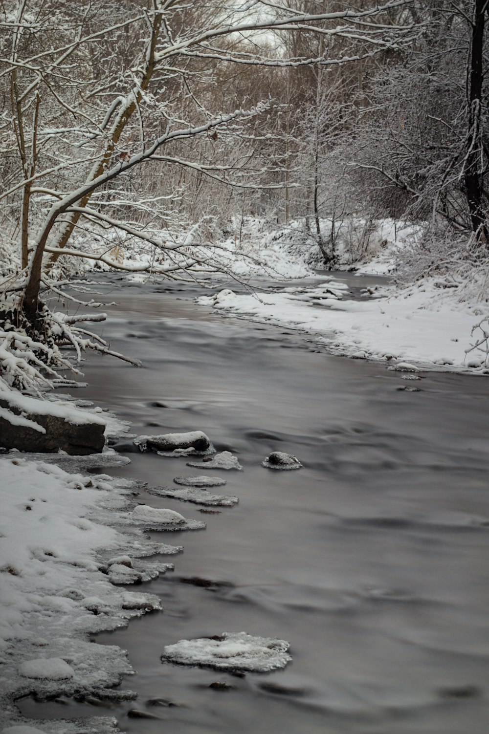 a river running through a snow covered forest