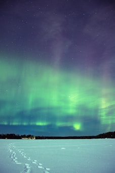 A breathtaking display of the Northern Lights illuminates the night sky with vibrant hues of green and hints of purple. The aurora borealis is visible above a snow-covered landscape with a trail of footsteps leading into the distance. A distant treeline borders the horizon, and small lights from a settlement are visible in the background.