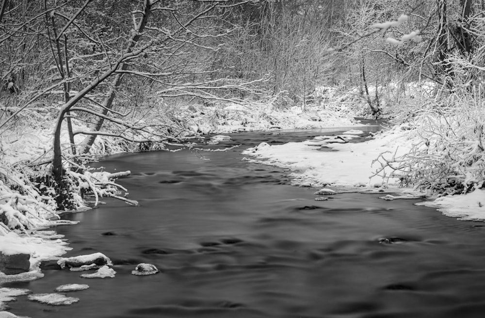 a stream running through a snow covered forest