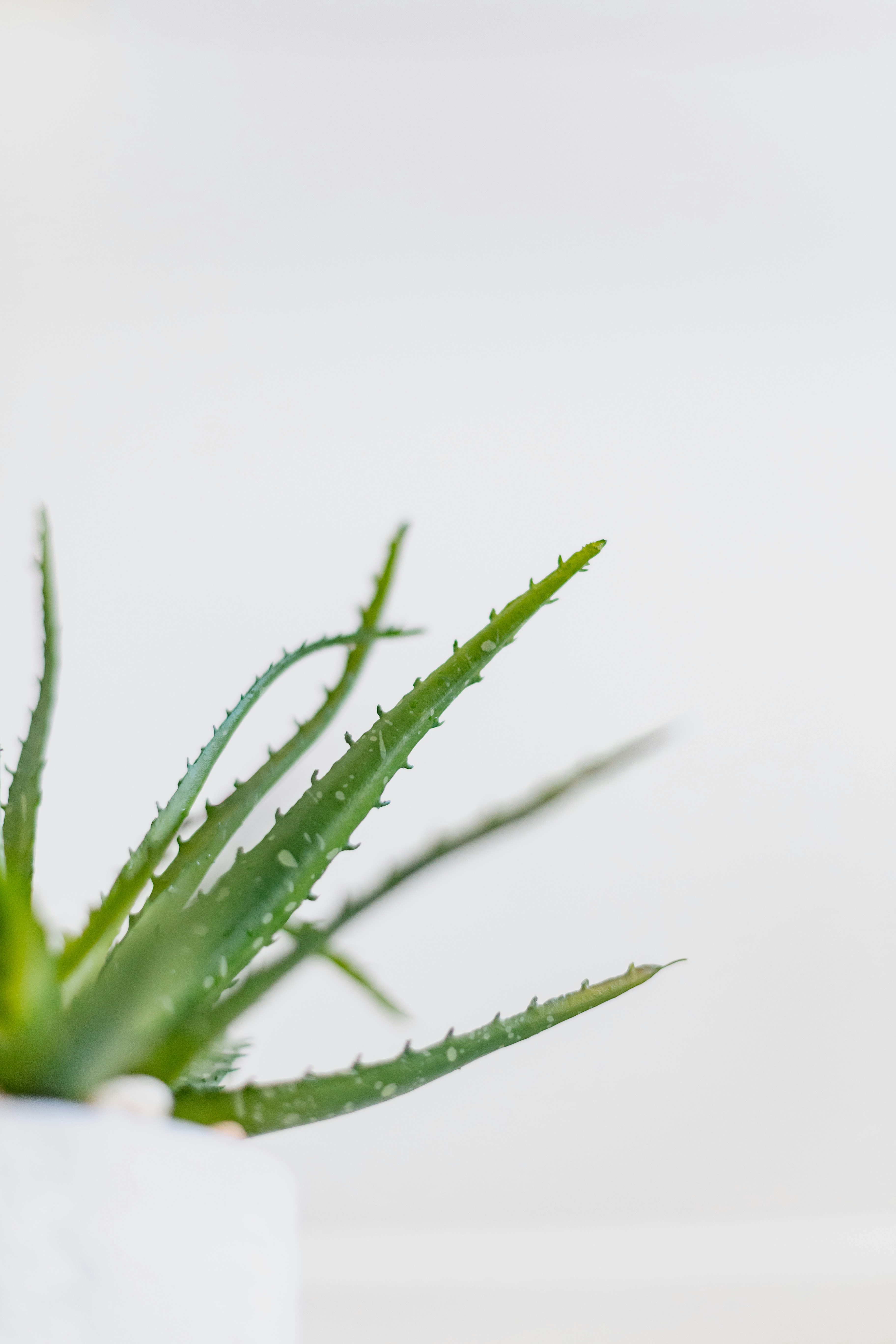 Photo by sincerelymedia