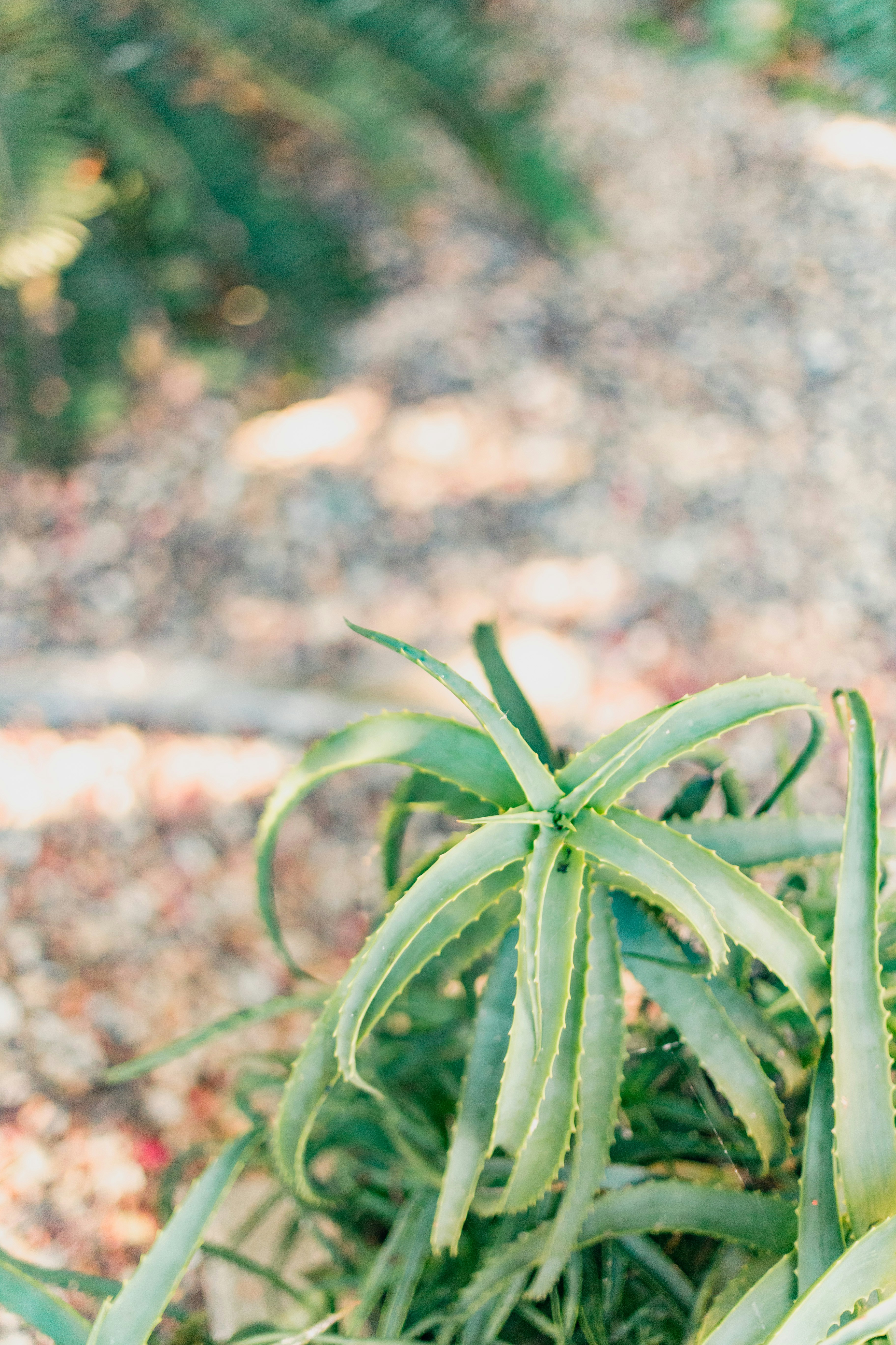 Photo by sincerelymedia