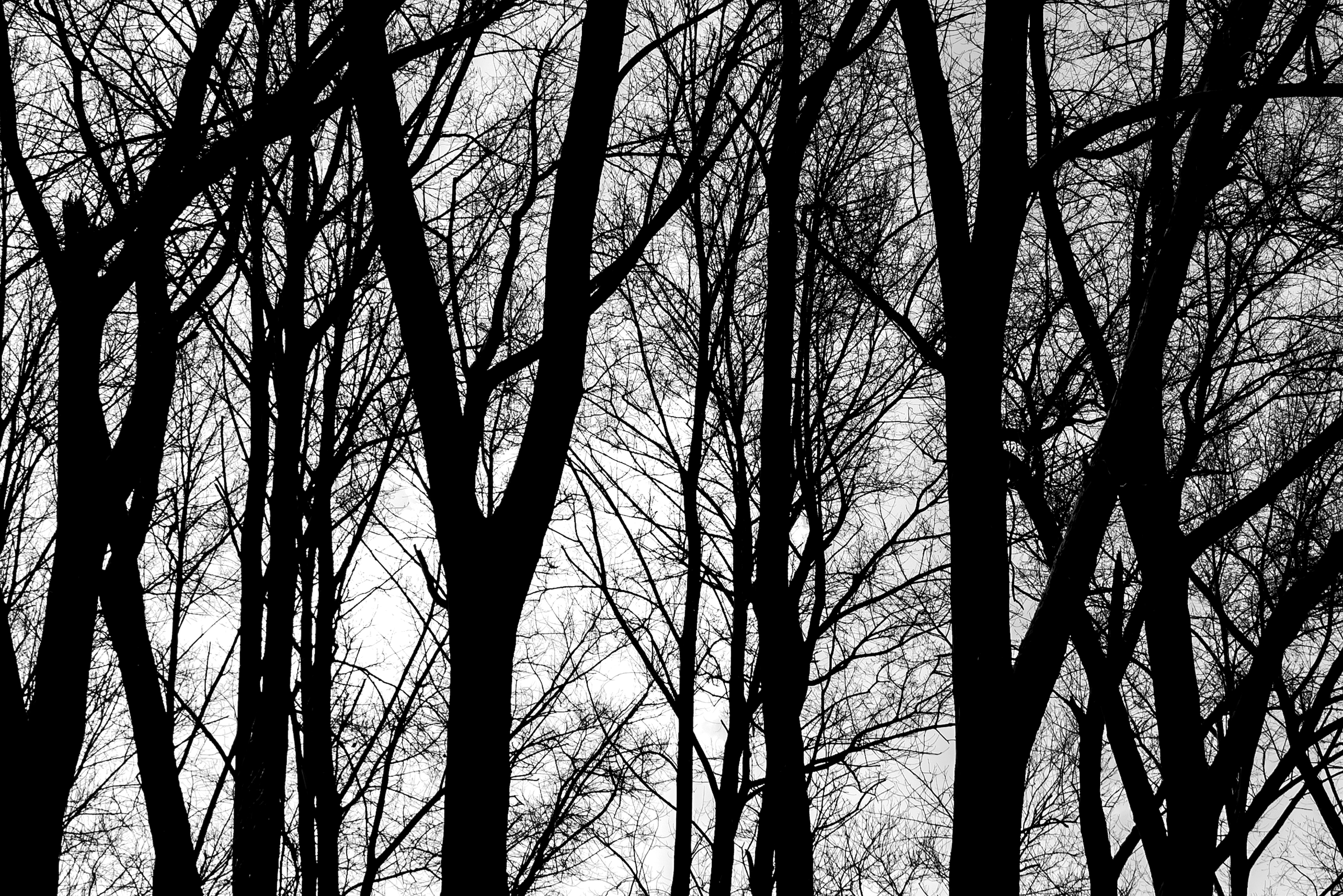 Photo by switch_dtp_fotografie