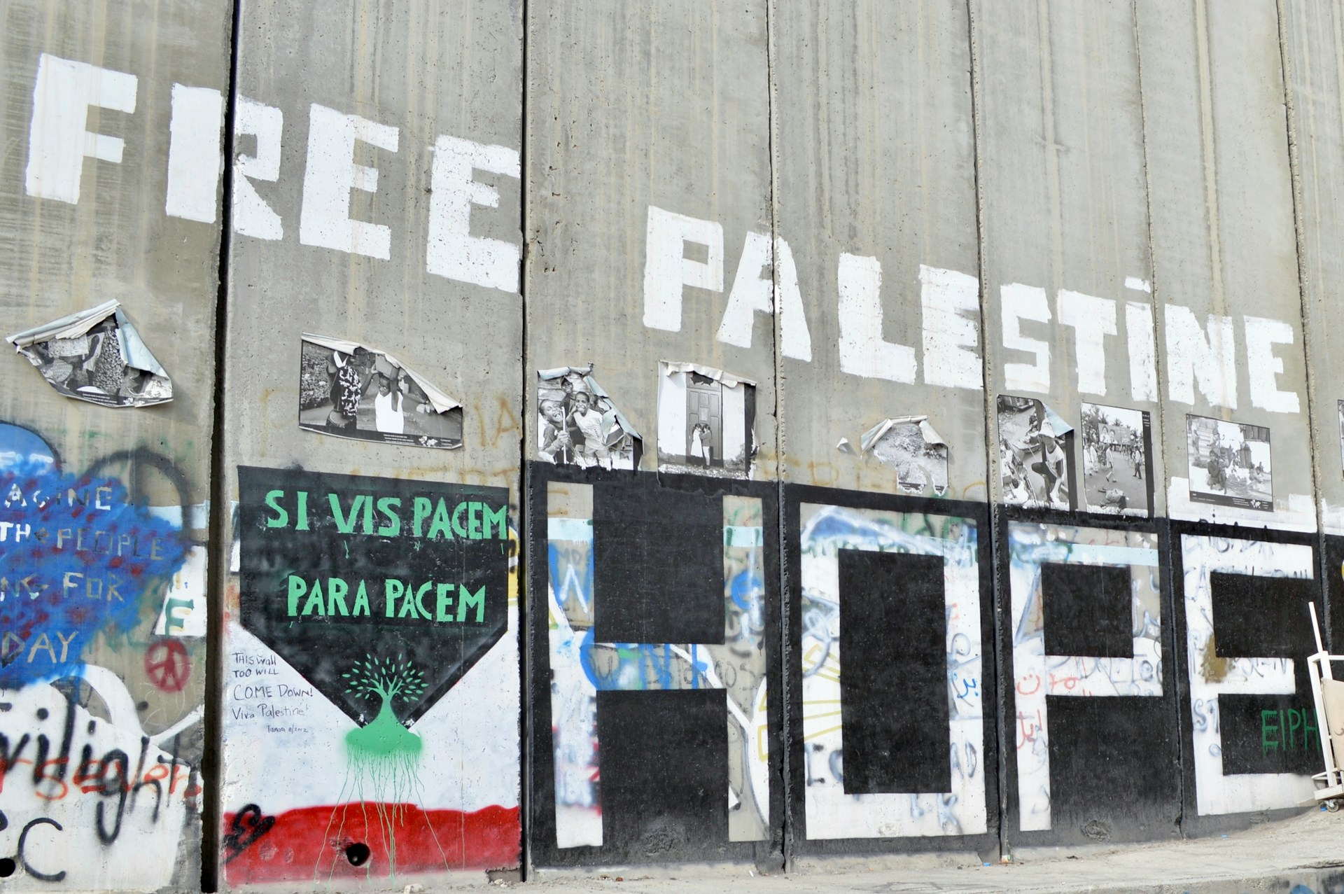 Dove sei, Palestina?