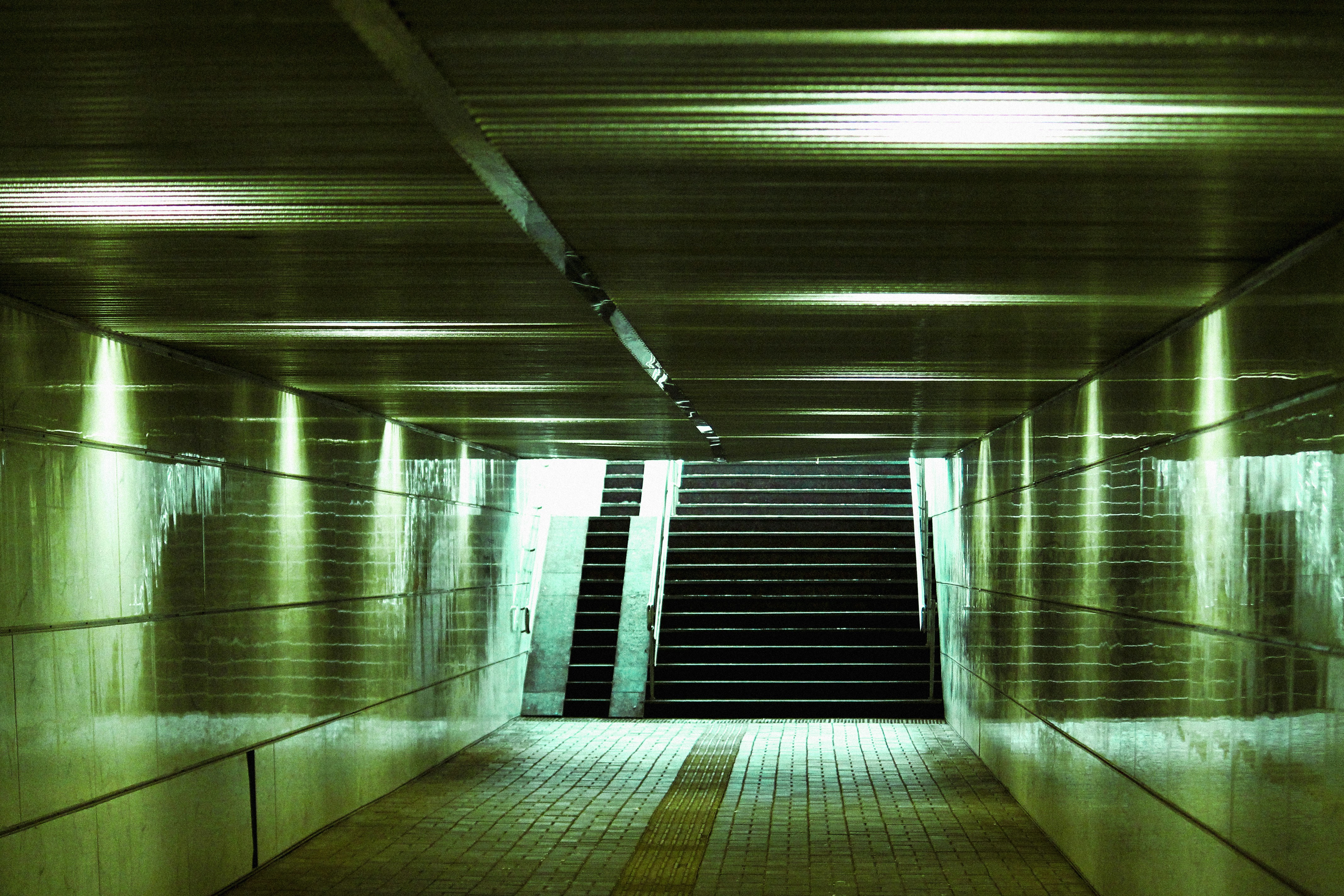 Photo by draiganaphotos