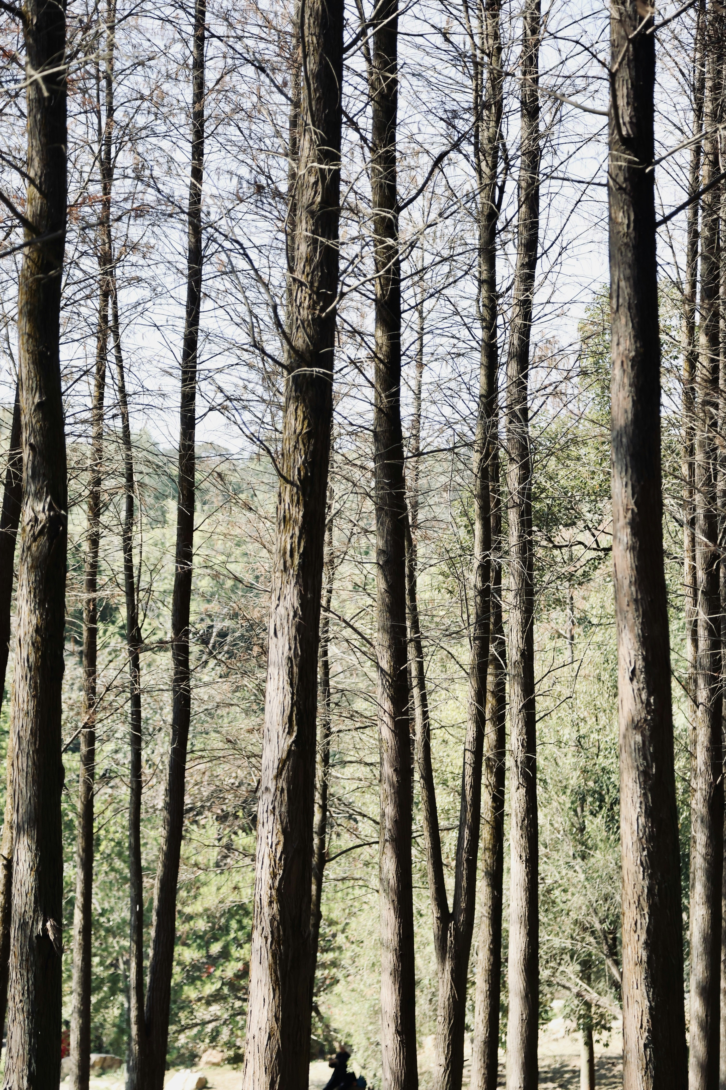 Photo by dickenslin76