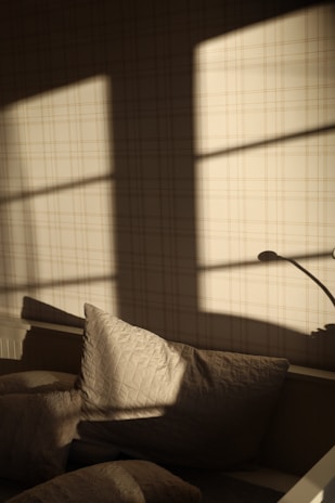 Soft natural light streaming through a window onto a cozy meditation cushion.