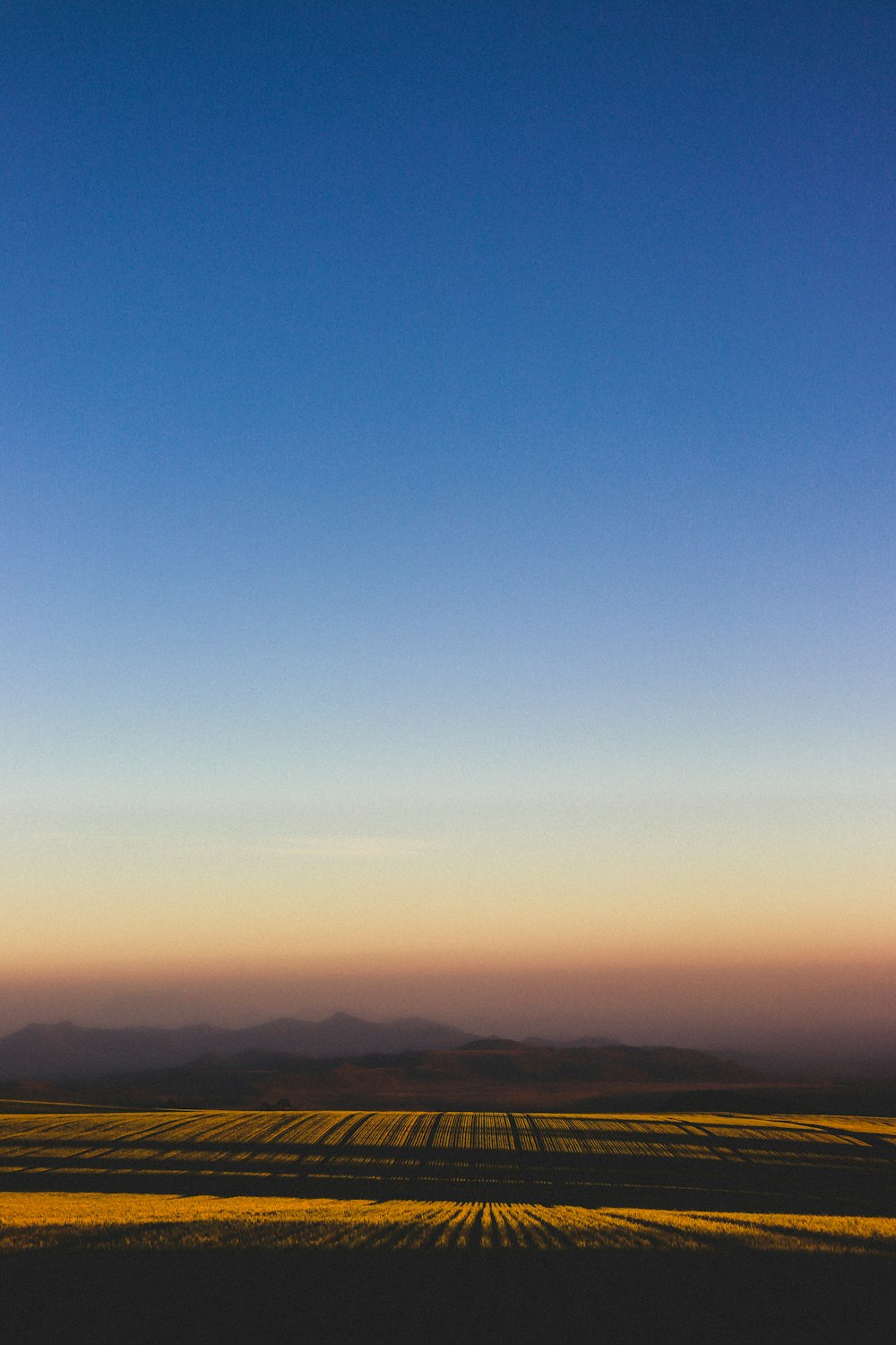 a large field with a sky in the background