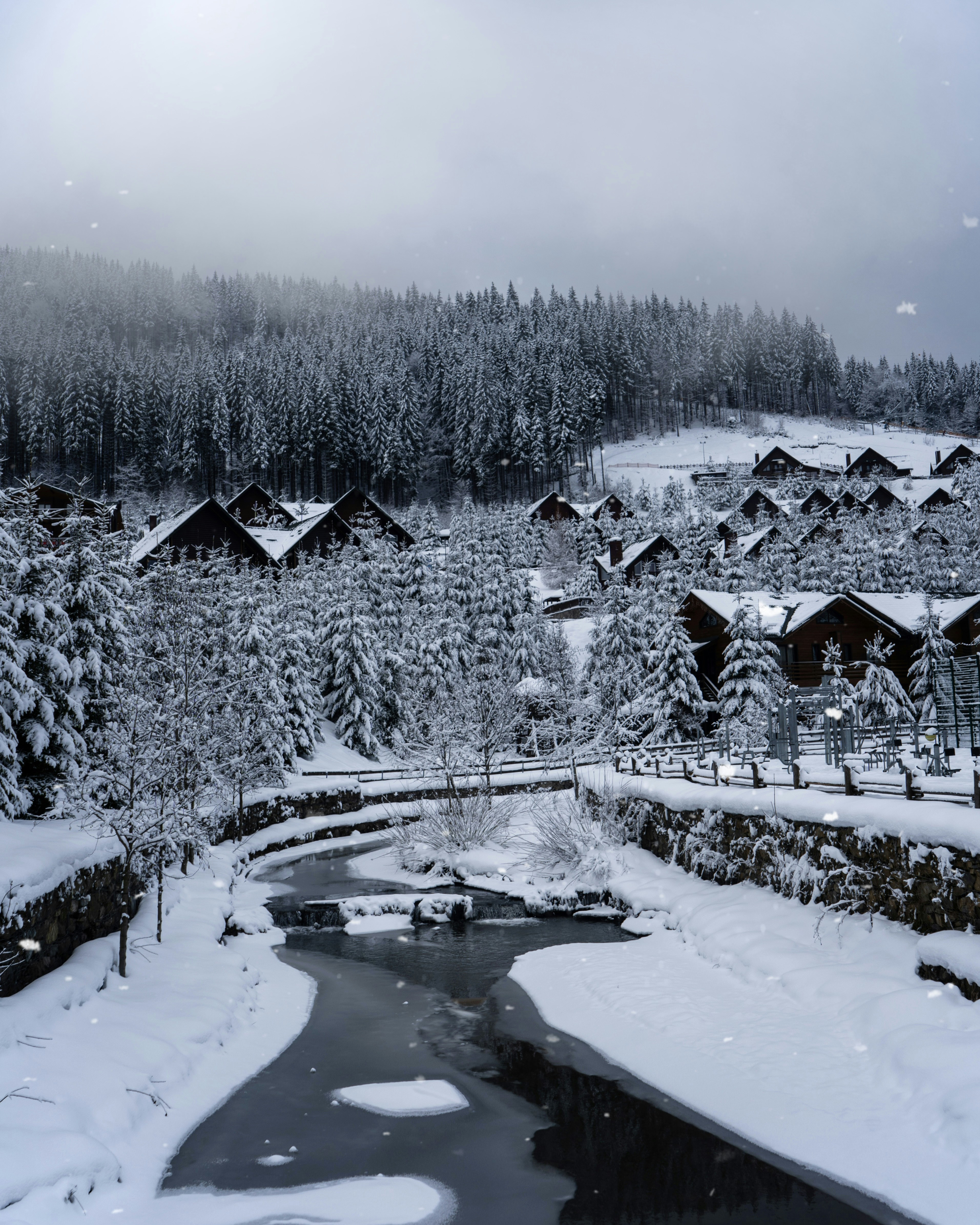 Photo by rushilologist