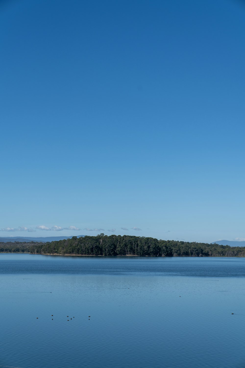 a large body of water with trees in the background