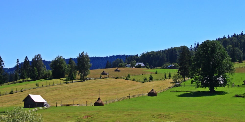 a green field with hay bales in the middle of it