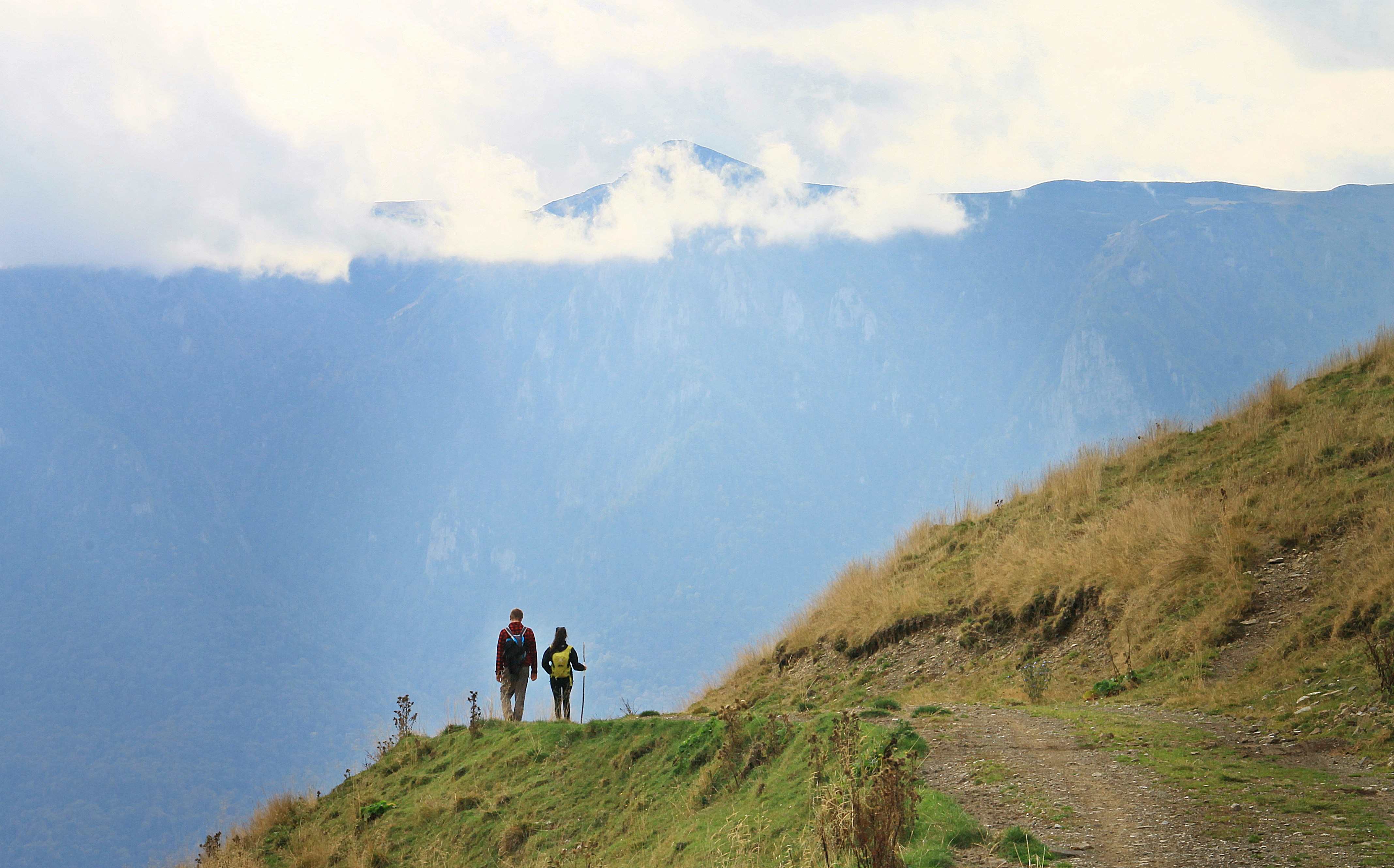 a couple of people standing on top of a grass covered hill