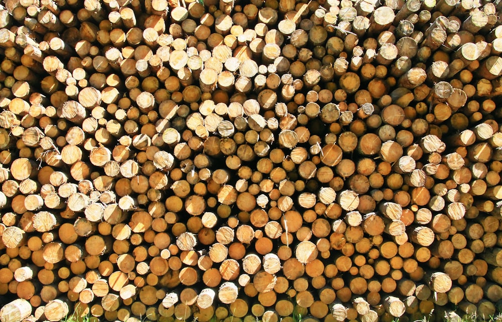 a large pile of logs sitting in the grass