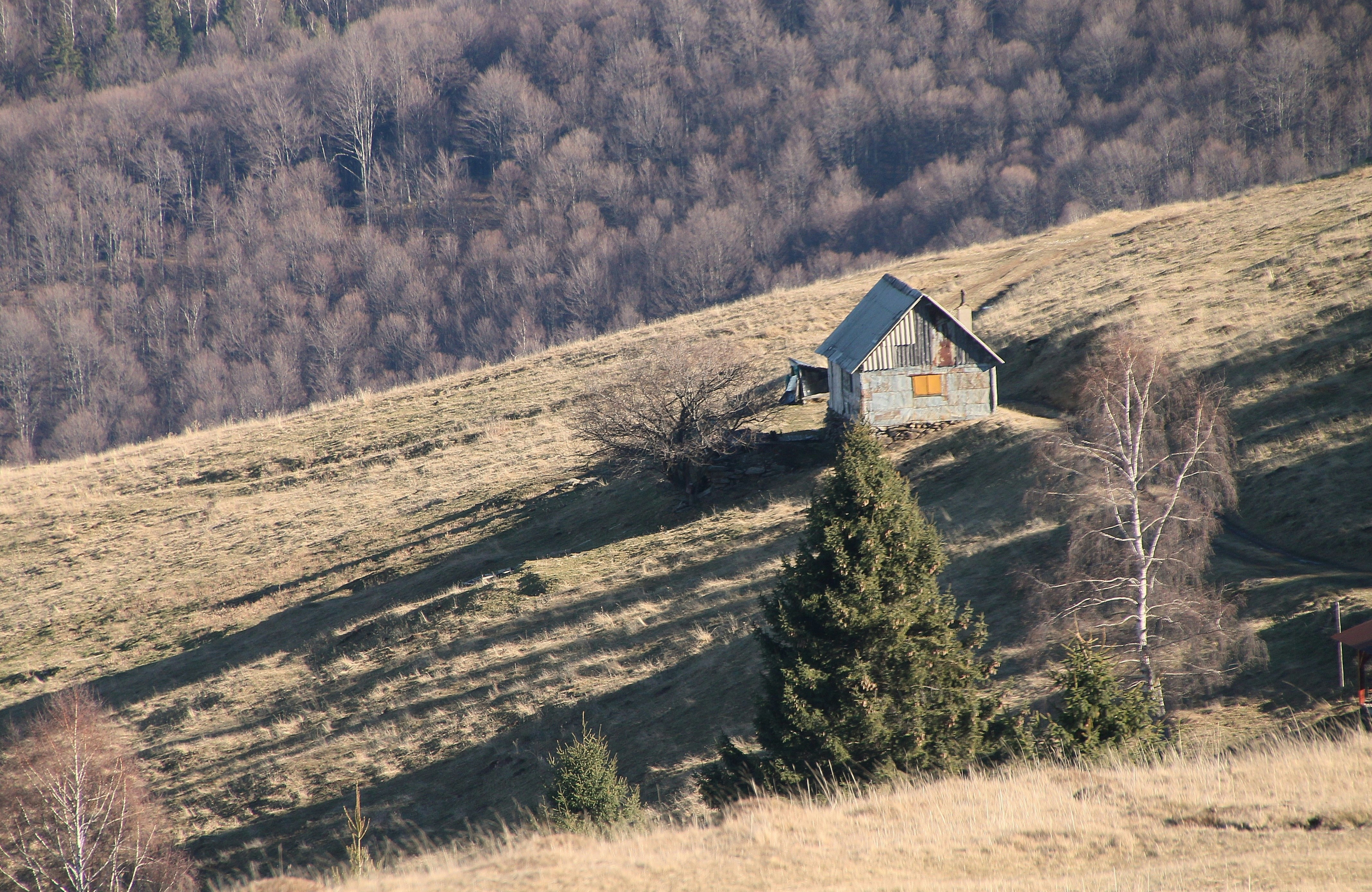 Photo by sinzianamihalache